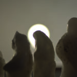 Madonneninstallation